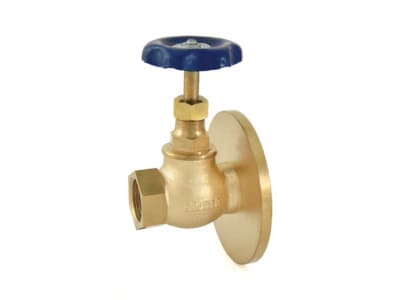1004 Bronze Globe Valve (One Side Flanged) with PTFE Seating